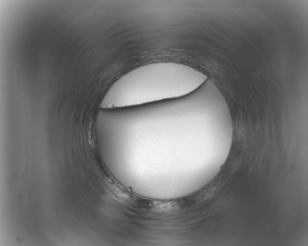 X0000062650185200512211044