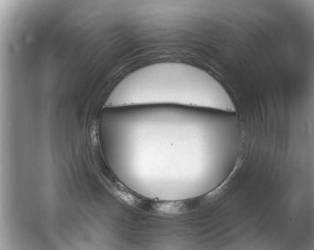 X0000062650191200512211044