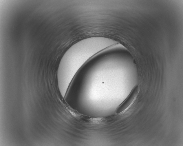 X0000062650192200512211044