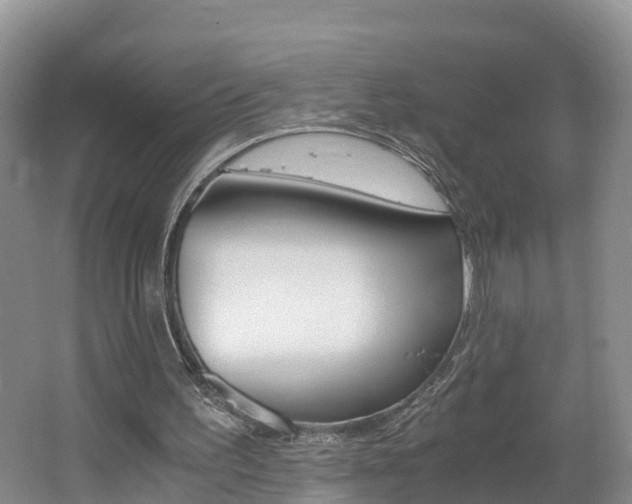 X0000062650195200512211043
