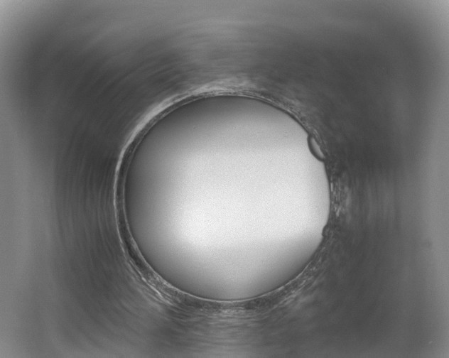 X0000062650196200512211043