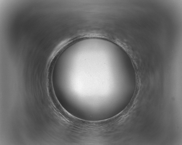 X0000062650199200512211043