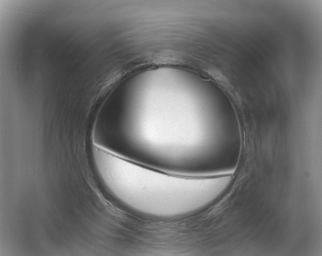X0000062650201200512211043