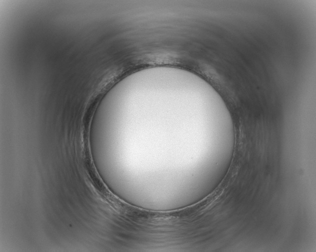 X0000062650202200512211043