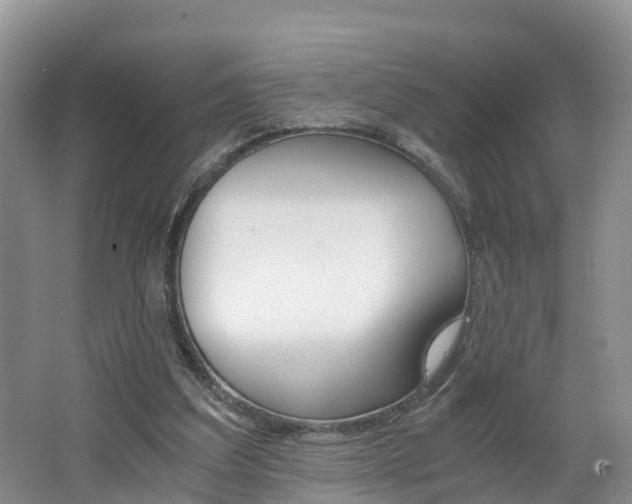 X0000062650203200512211043