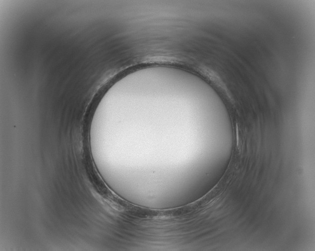 X0000062650204200512211043