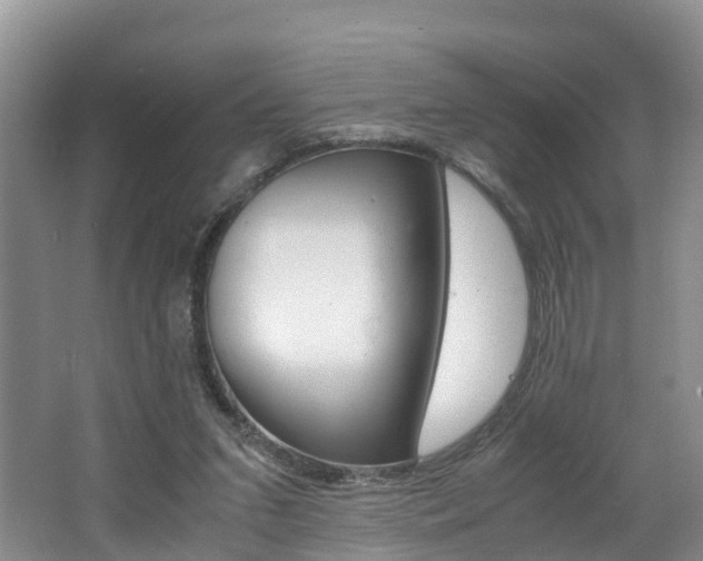 X0000062650207200512211043