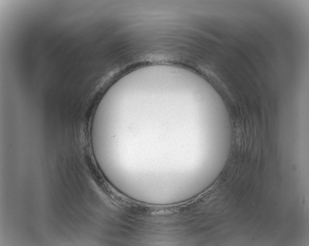 X0000062650208200512211043