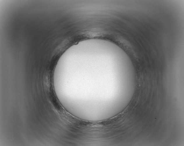 X0000062650210200512211043