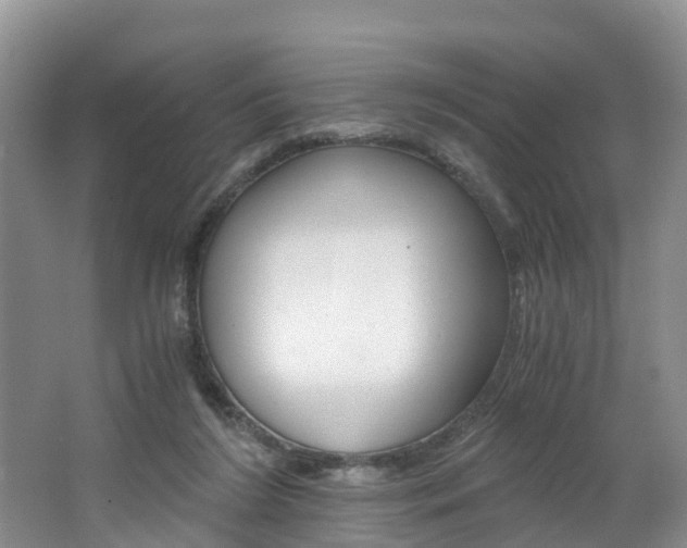 X0000062650212200512211043
