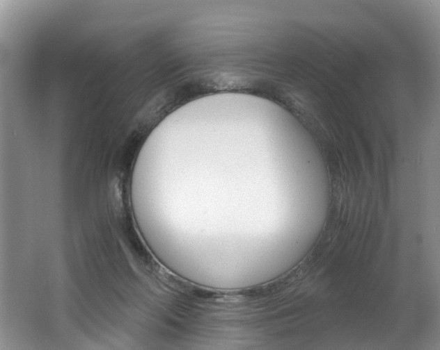 X0000062650214200512211043