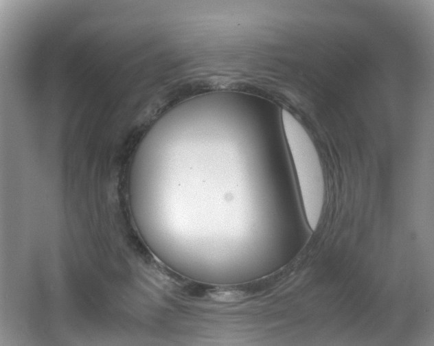 X0000062650221200512211042