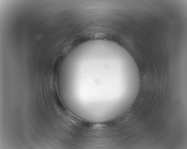 X0000062650222200512211042