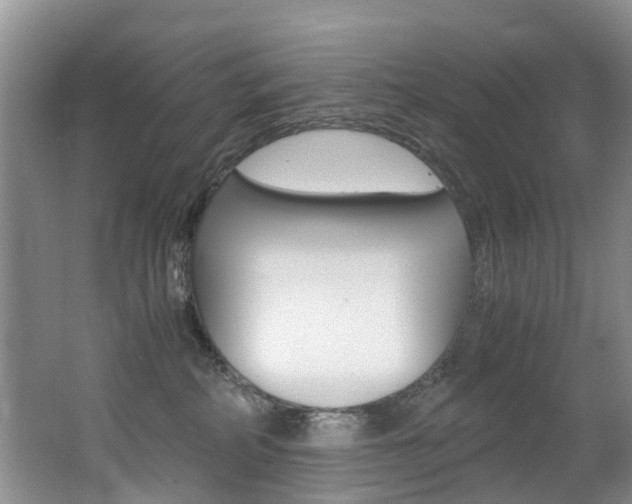 X0000062650234200512211042