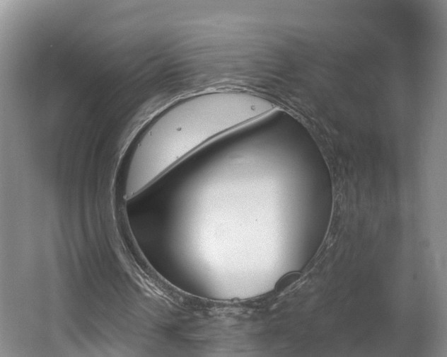 X0000062650242200512211041