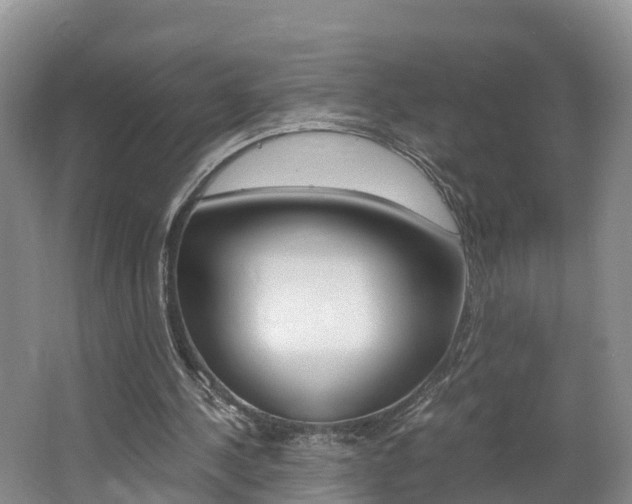 X0000062650244200512211041