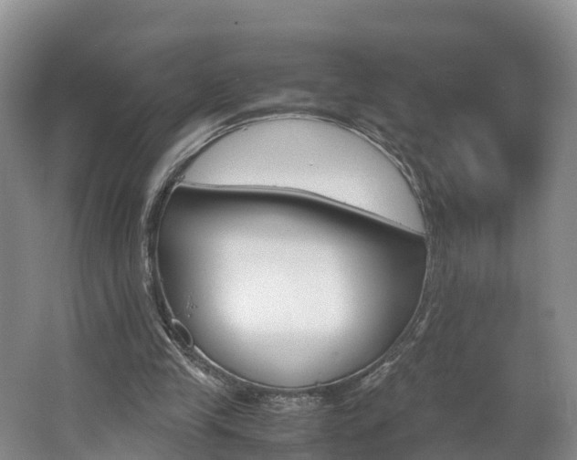 X0000062650245200512211041