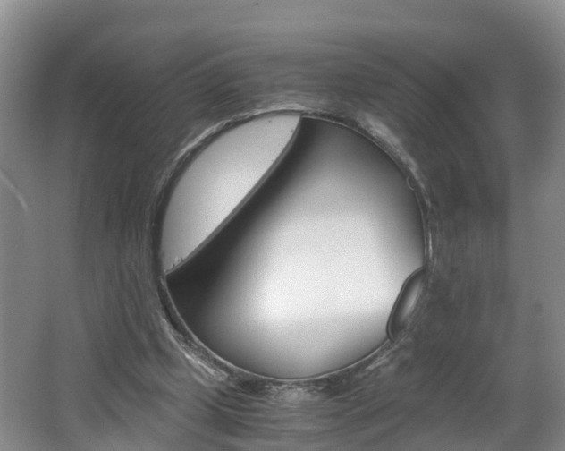 X0000062650249200512211041