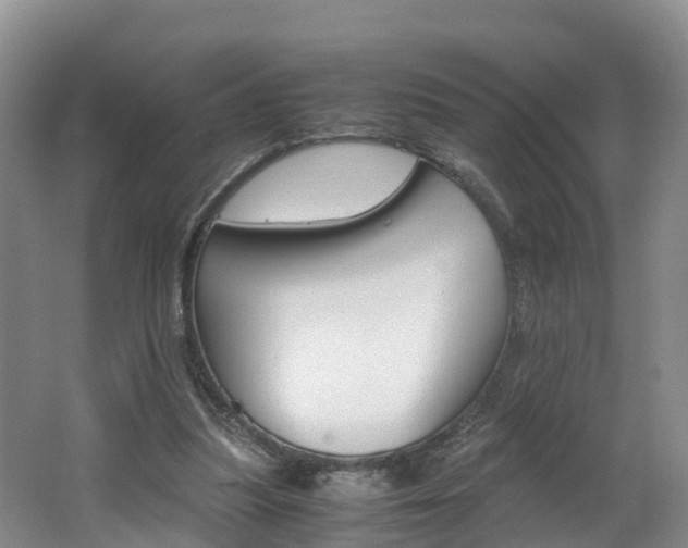 X0000062650251200512211041