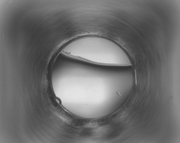 X0000062650252200512211041