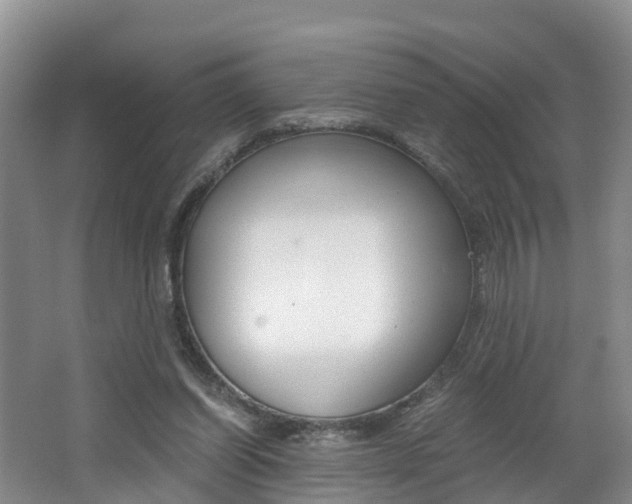X0000062650254200512211042