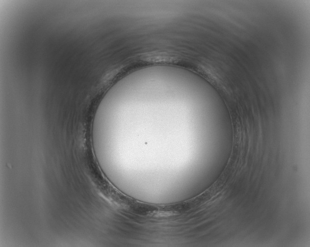 X0000062650255200512211042