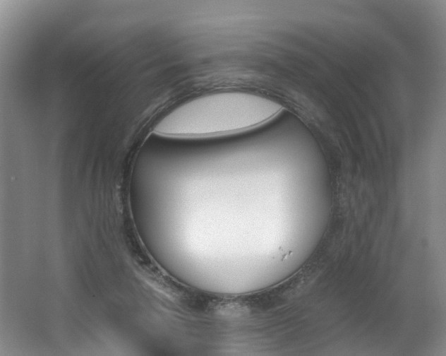 X0000062650258200512211042