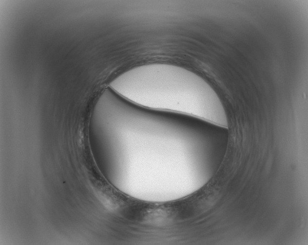 X0000062650259200512211042
