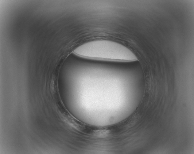 X0000062650266200512211042