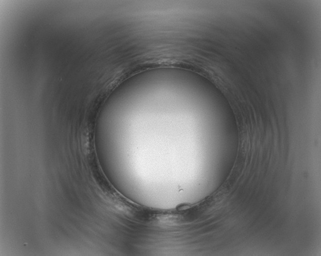 X0000062650268200512211042