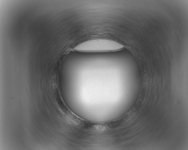 X0000062650272200512211042
