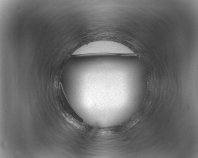 X0000062650284200512211042