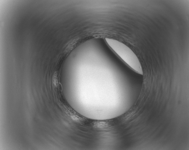 X0000062650287200512211042