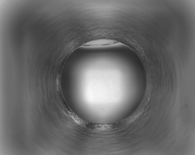 X0000062650288200512211042