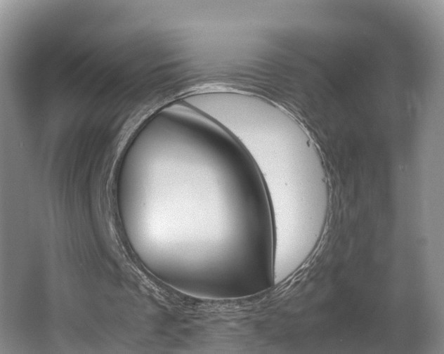 X0000062650289200512211041
