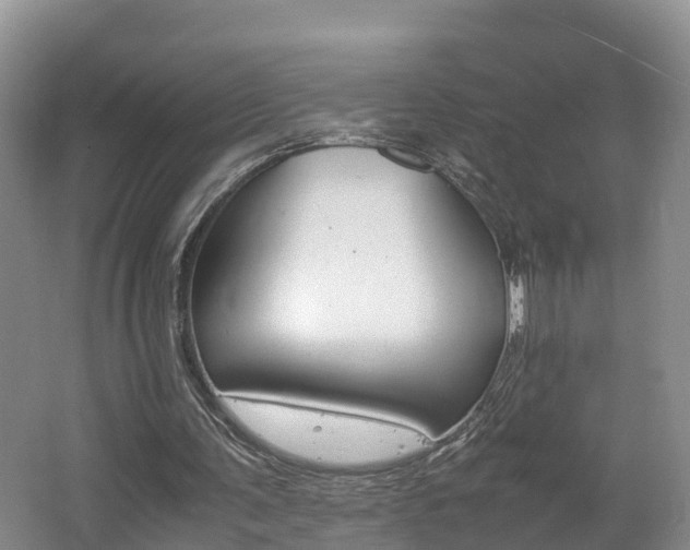 X0000062650291200512211041
