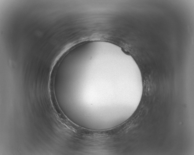 X0000062650292200512211041