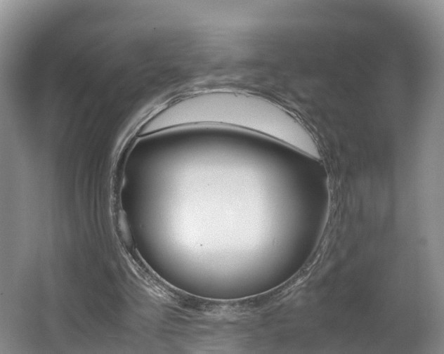 X0000062650293200512211041