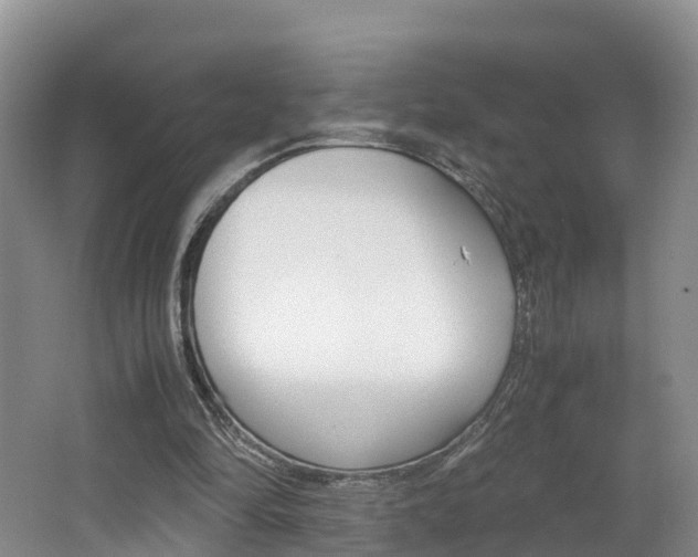 X0000062650294200512211041