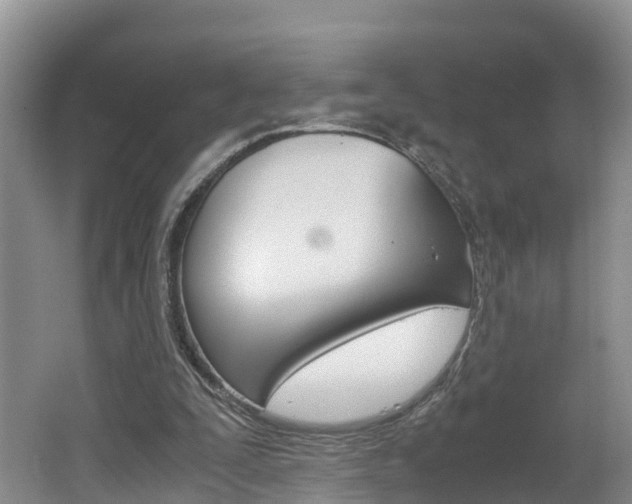 X0000062650295200512211041