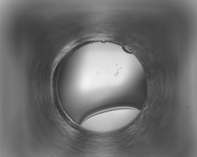 X0000062650296200512211041