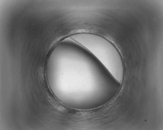X0000062650297200512211041