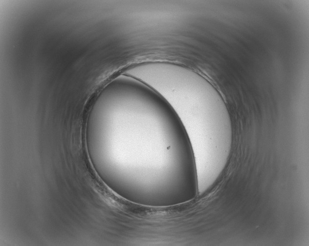 X0000062650301200512211041