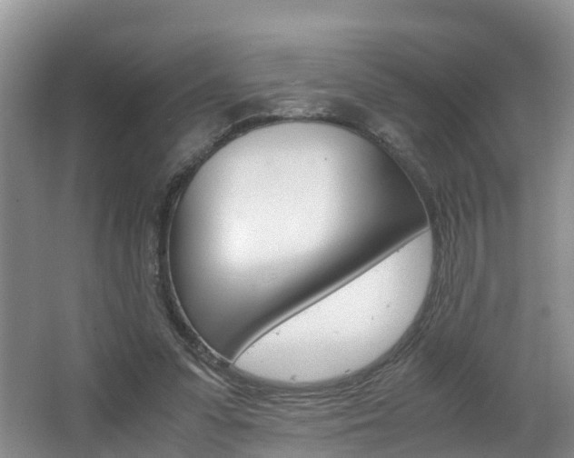 X0000062650303200512211041