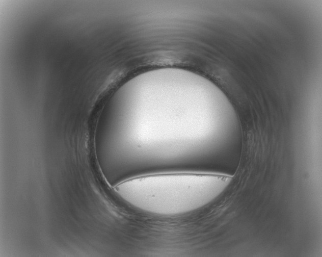 X0000062650304200512211041