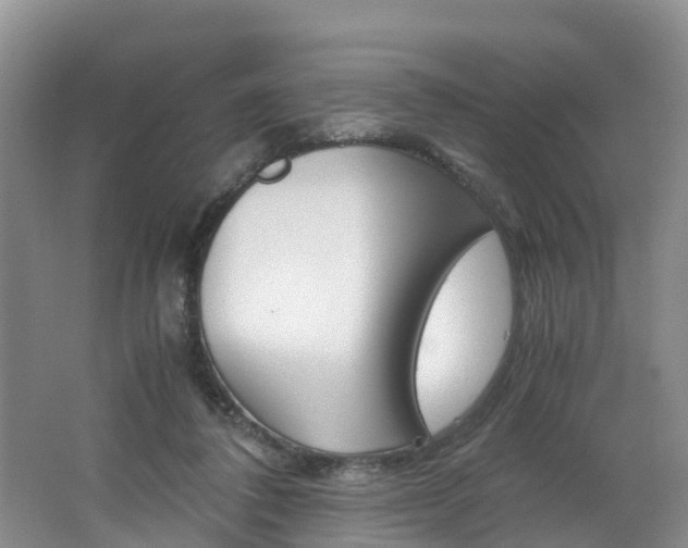 X0000062650308200512211041