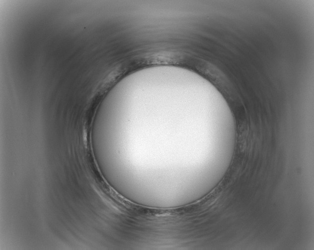 X0000062650310200512211041