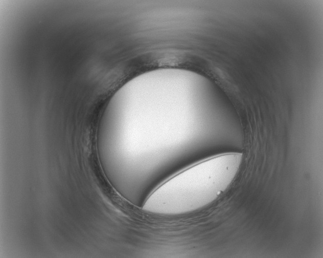 X0000062650311200512211041