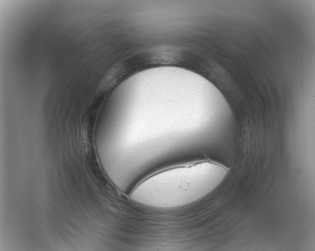 X0000062650312200512211041
