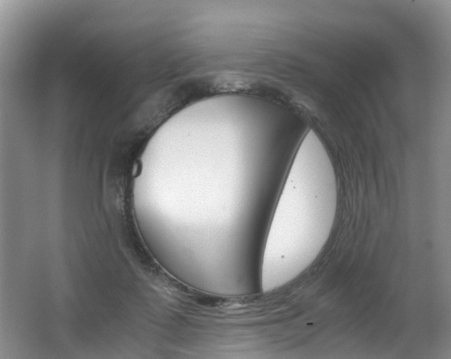 X0000062650315200512211041